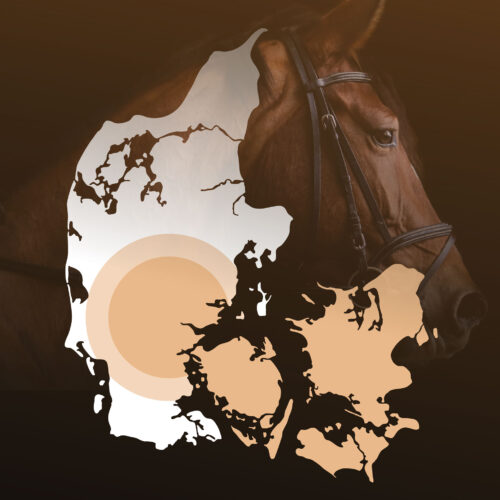 Hestetandklinikke-kort-web